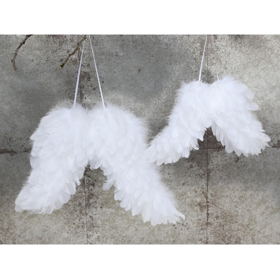 Obrázok pre Anjelské krídla malé